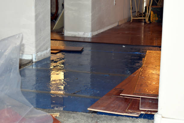 Professional Water Damage Restoration technician working in Short Creek, WV